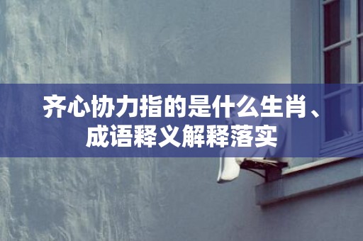 齐心协力指的是什么生肖、成语释义解释落实插图