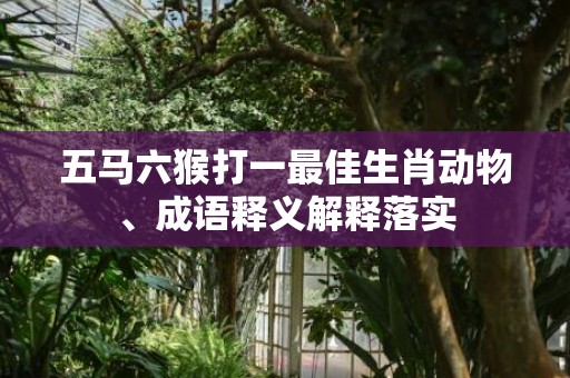 五马六猴打一最佳生肖动物、成语释义解释落实插图