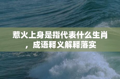 惹火上身是指代表什么生肖，成语释义解释落实