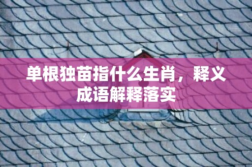 单根独苗指什么生肖，释义成语解释落实