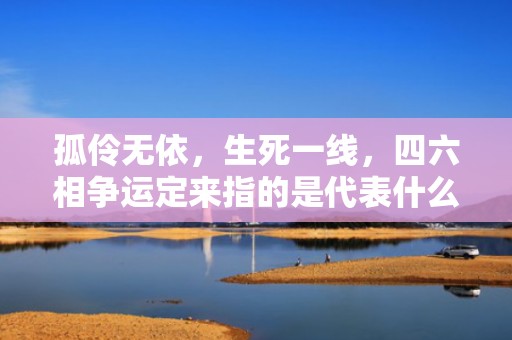 孤伶无依，生死一线，四六相争运定来指的是代表什么生肖动物，成语释义解释落实