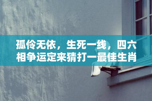 孤伶无依，生死一线，四六相争运定来猜打一最佳生肖动物数字，成语释义解释落实
