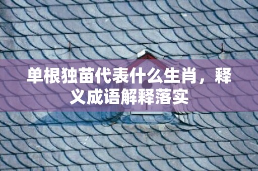 单根独苗代表什么生肖，释义成语解释落实