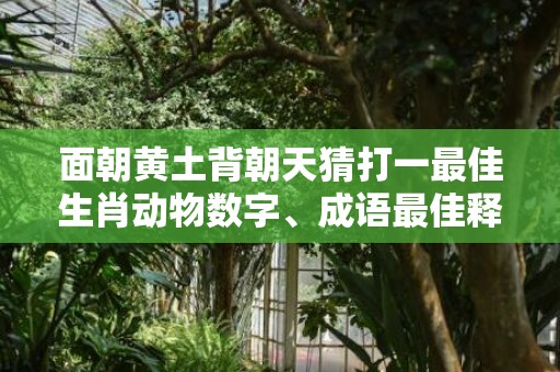 面朝黄土背朝天猜打一最佳生肖动物数字、成语最佳释义解释答