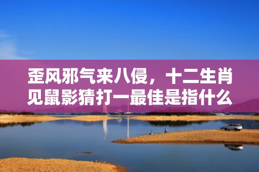 歪风邪气来八侵，十二生肖见鼠影猜打一最佳是指什么准确生肖动物，成语释义解释落实