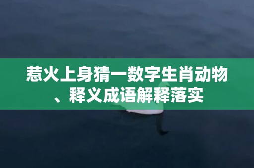 惹火上身猜一数字生肖动物、释义成语解释落实