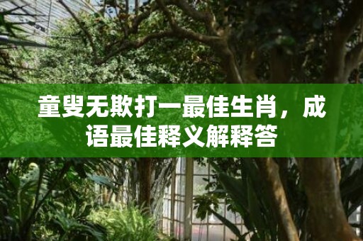 童叟无欺打一最佳生肖，成语最佳释义解释答