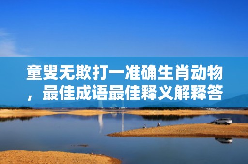 童叟无欺打一准确生肖动物，最佳成语最佳释义解释答插图