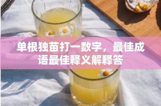 单根独苗打一数字，最佳成语最佳释义解释答