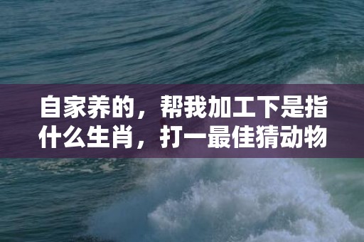 自家养的，帮我加工下是指什么生肖，打一最佳猜动物“成语最佳释义解释答”插图