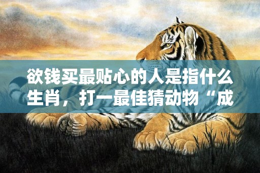欲钱买最贴心的人是指什么生肖，打一最佳猜动物“成语最佳释义解释答”插图