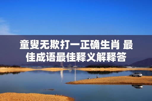 童叟无欺打一正确生肖 最佳成语最佳释义解释答插图