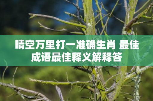 晴空万里打一准确生肖 最佳成语最佳释义解释答插图