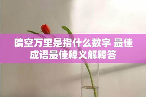晴空万里是指什么数字 最佳成语最佳释义解释答插图
