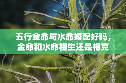 五行金命与水命婚配好吗，金命和水命相生还是相克