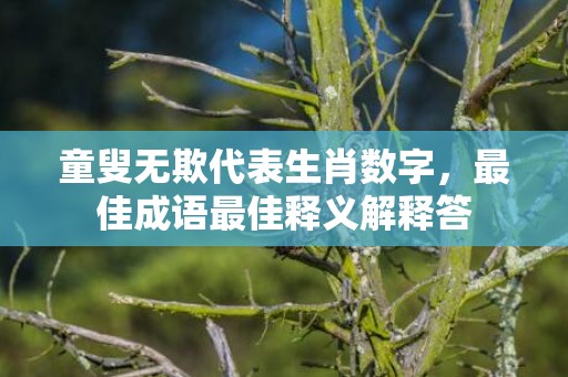 童叟无欺代表生肖数字，最佳成语最佳释义解释答插图