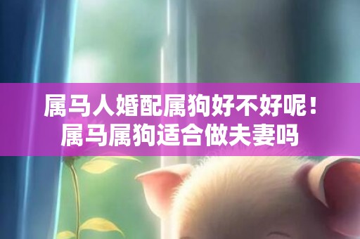 属马人婚配属狗好不好呢！属马属狗适合做夫妻吗