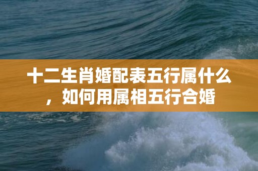 十二生肖婚配表五行属什么，如何用属相五行合婚