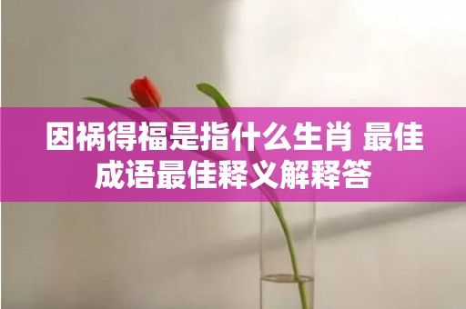 因祸得福是指什么生肖 最佳成语最佳释义解释答