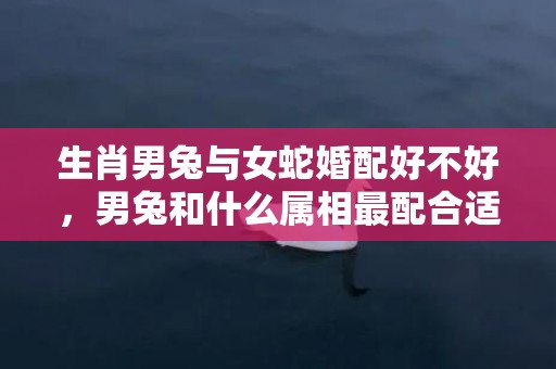 生肖男兔与女蛇婚配好不好，男兔和什么属相最配合适