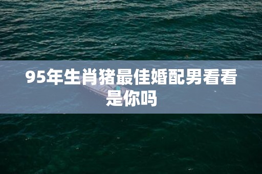 95年生肖猪最佳婚配男看看是你吗