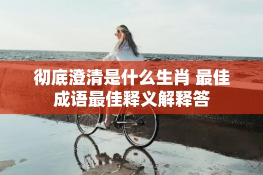 彻底澄清是什么生肖 最佳成语最佳释义解释答插图