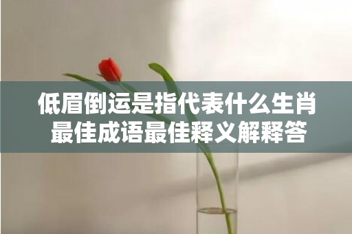 低眉倒运是指代表什么生肖 最佳成语最佳释义解释答插图