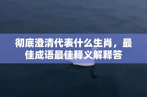 彻底澄清代表什么生肖，最佳成语最佳释义解释答