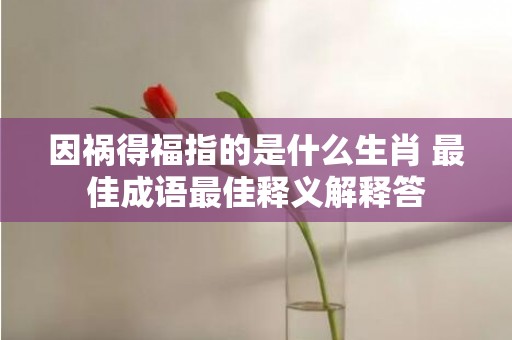 因祸得福指的是什么生肖 最佳成语最佳释义解释答插图