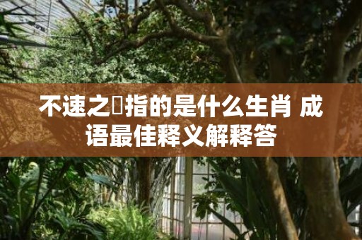 不速之嚇指的是什么生肖 成语最佳释义解释答插图