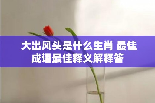 大出风头是什么生肖 最佳成语最佳释义解释答插图