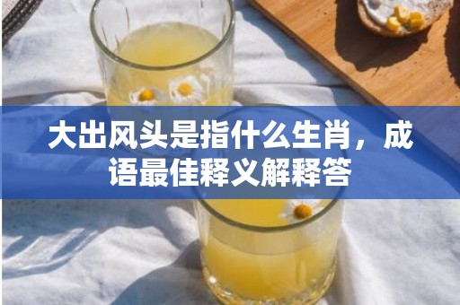 大出风头是指什么生肖，成语最佳释义解释答插图