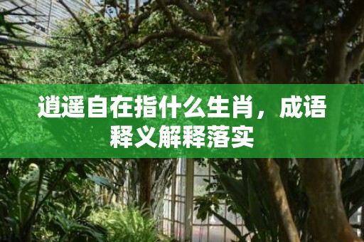 逍遥自在指什么生肖，成语释义解释落实插图