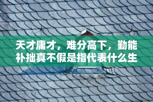 天才庸才，难分高下，勤能补拙真不假是指代表什么生肖，释义成语解释落实插图