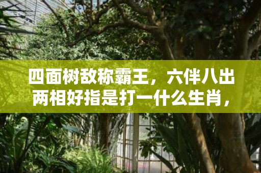 四面树敌称霸王，六伴八出两相好指是打一什么生肖，释义成语解释落实