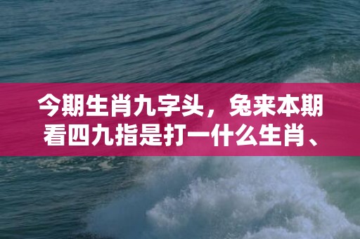 今期生肖九字头，兔来本期看四九指是打一什么生肖、成语释义解释落实