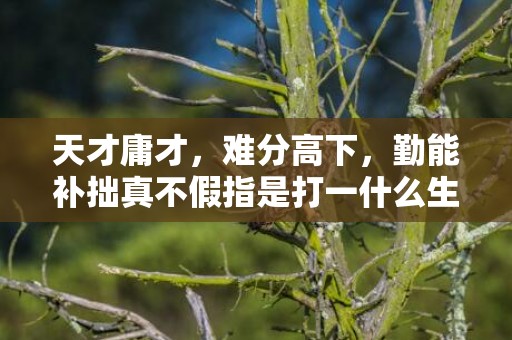 天才庸才，难分高下，勤能补拙真不假指是打一什么生肖，释义成语解释落实插图