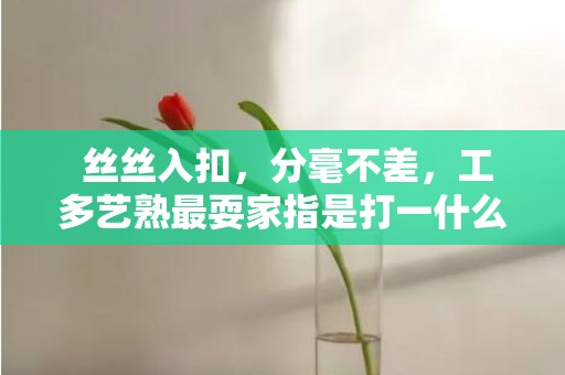 丝丝入扣，分毫不差，工多艺熟最耍家指是打一什么生肖 “成语最佳释义解释答”插图