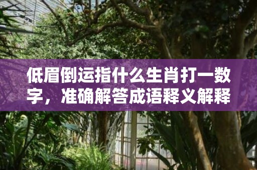 低眉倒运指什么生肖打一数字，准确解答成语释义解释