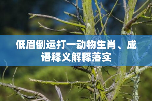 低眉倒运打一动物生肖、成语释义解释落实