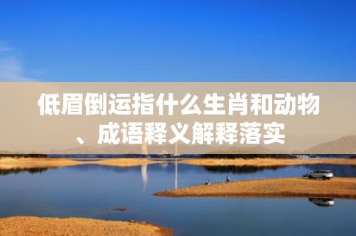 低眉倒运指什么生肖和动物、成语释义解释落实