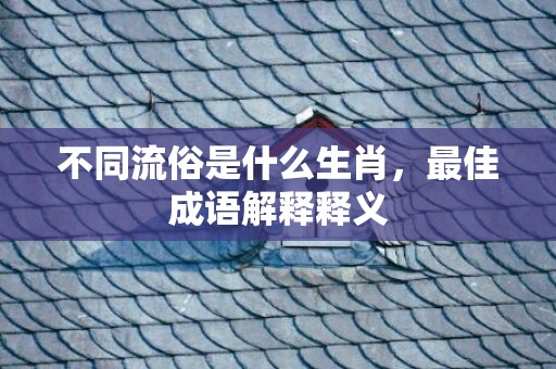 不同流俗是什么生肖，最佳成语解释释义