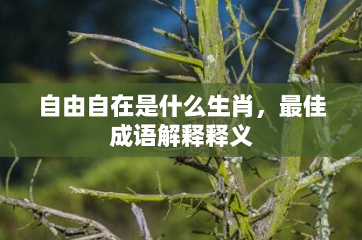 自由自在是什么生肖，最佳成语解释释义