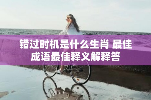 错过时机是什么生肖 最佳成语最佳释义解释答插图