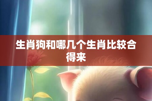 生肖狗和哪几个生肖比较合得来