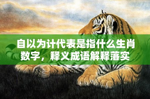 自以为计代表是指什么生肖数字，释义成语解释落实