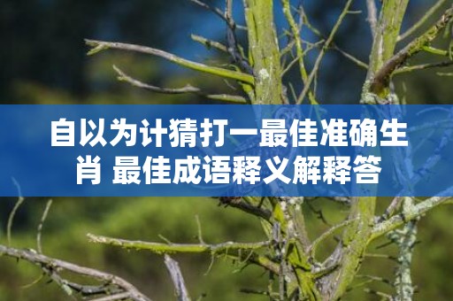 自以为计猜打一最佳准确生肖 最佳成语释义解释答插图