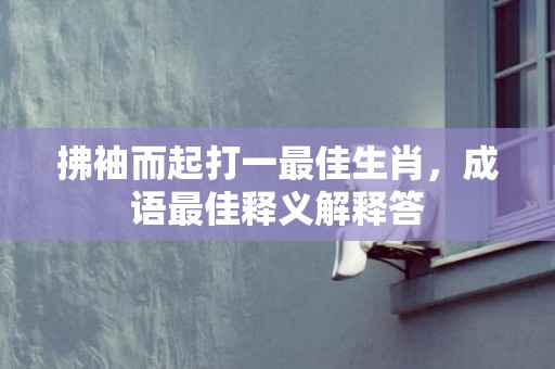 拂袖而起打一最佳生肖，成语最佳释义解释答插图