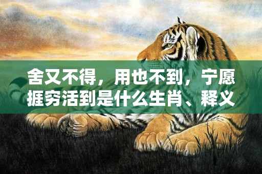 舍又不得，用也不到，宁愿捱穷活到是什么生肖、释义成语解释落实插图