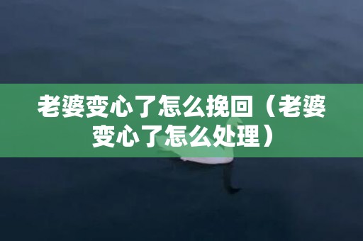 老婆变心了怎么挽回（老婆变心了怎么处理）